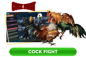 CockFight